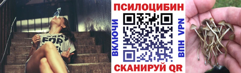 Галлюциногенные грибы GOLDEN TEACHER OMG ССЫЛКА Чехов